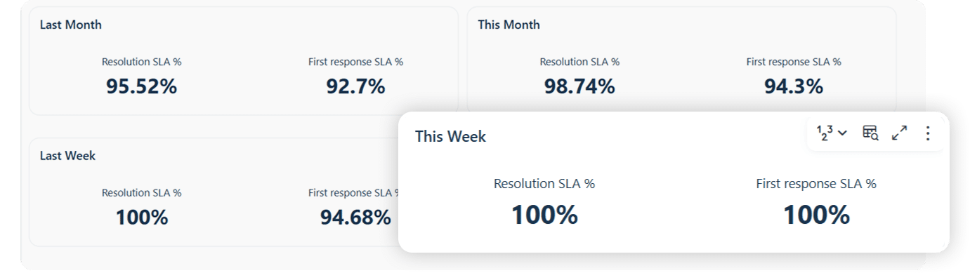 GuestWisely customer support service data